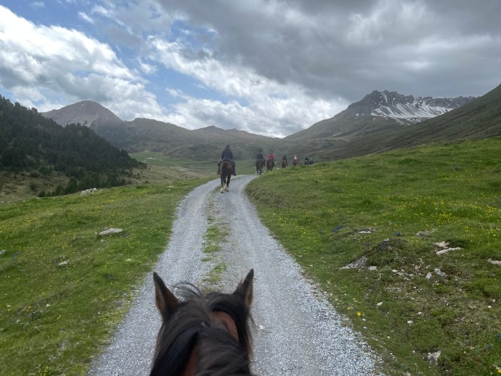 Una passeggiata in gruppo in una valle alpina, vista tra le orecchie del cavallo, sullo sfondo montagne innevate