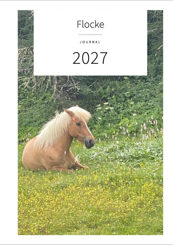Couverture : la photo d'un poney clair couché dans un pré, au-dessus un cadre blanc avec « Flocke », « Journal », « 2027 »