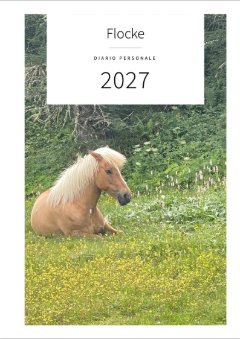 Copertina con la foto di un pony chiaro sdraiato in un prato: Flocke, Diario personale, 2027
