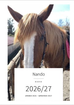 Copertina con la foto di un sauro con lista: Nando, Diario, 2026/27