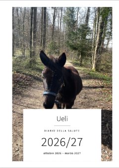 Copertina con la foto di un mulo scuro su un sentiero nel bosco: Ueli, Diario della salute, da ottobre 2026 a marzo 2027
