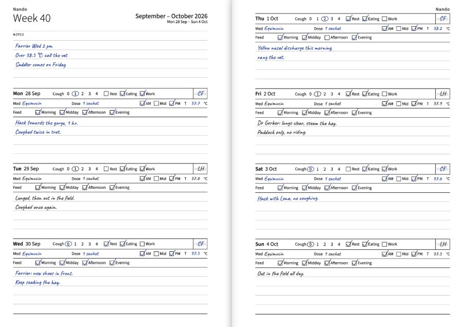 A filled-in week spread: for every day the cough scale, rest, eating and work, the medication, the temperature, the meals and initials